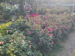 -人民公园(罗湖区)