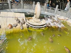 -西安大兴善寺