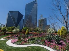 -东方体育中心(地铁站)