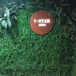 -V-STAR威斯达•高级私人定制