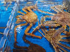 -盒马鲜生(馥邦国际店)