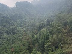 -青城山