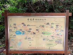 -十八棵（老龙井）御茶园(老龙井店)
