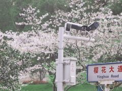 -东湖磨山景区