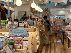 -猫的天空之城概念书店(束河店)