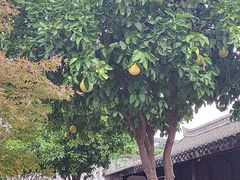 -王阳明故居