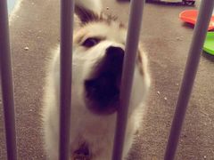 -辛巴桌游剧本娱乐休闲馆(光谷店)