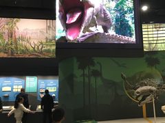 -国家自然博物馆