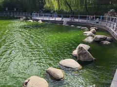 -莲湖公园