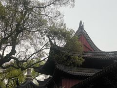 -普陀山慧济禅寺