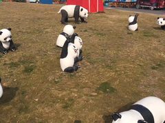 -郑州银基国际旅游度假区