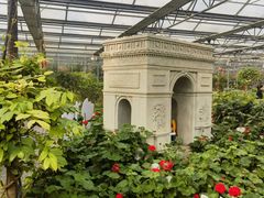 -南宫五洲植物乐园