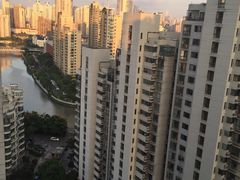 -新湖明珠城