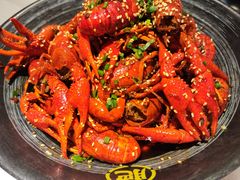 -肥肥虾庄·金牌油焖大虾(沙湖店)