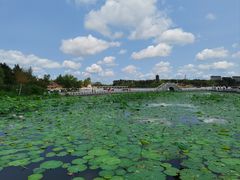 -长春北湖公园