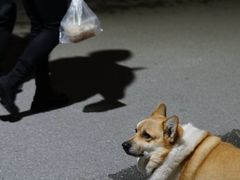 -阿木舂记·特色小吃(平江路店)