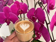 拿铁-WOW coffee