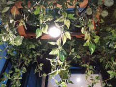 -陶苏·品味融合川菜(龙湖源著天街店)