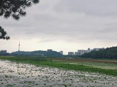 -月湖风景区