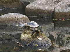 -南普陀寺