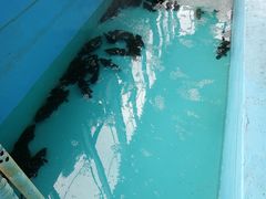 -康大鲤鱼门海鲜城·中餐厅