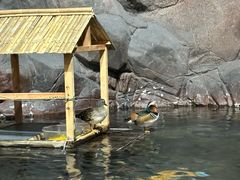 -上海海洋水族馆