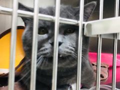 -佑安动物医院·全科·内窥镜中心(幸福巷店)