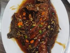 -林之六八·6886大连老菜馆