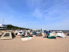 -碧海金沙