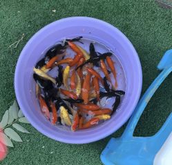 -萌宠亲子动物乐园(槐房万达店)