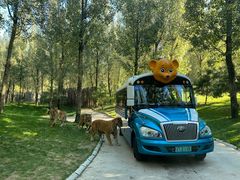 -北京野生动物园