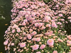 -杭州植物园