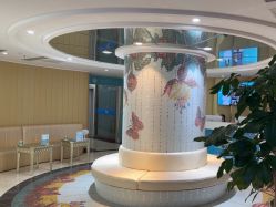 -云南吴氏嘉美医疗美容医院