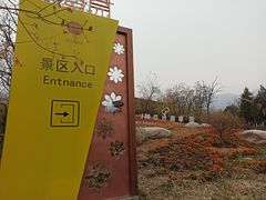 -紫云台香草园