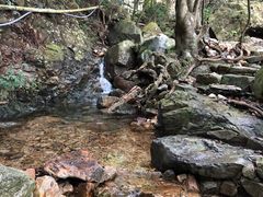 -牛鱼嘴原始生态风景区