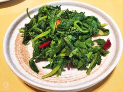 -素虎小呆鸟(西二旗店)