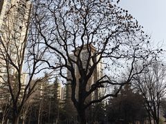 -木塔寺遗址生态公园