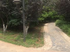-五环公园