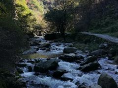 -少华山国家森林公园