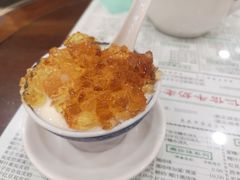 桃胶双皮奶-仁信老铺(华盖路店)
