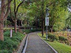 -陈家山荷花公园