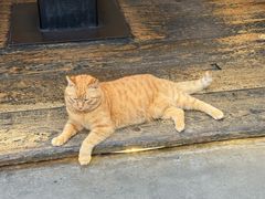 -肥仔文澳门猪骨煲(南京西路店)