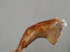 -吴山烤禽 (吴山路店)