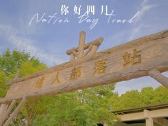 -顾村公园