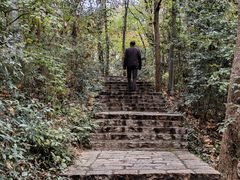 -南山风景名胜区