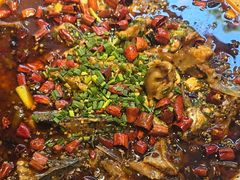来凤鱼-新概念来凤鱼(璧山店)