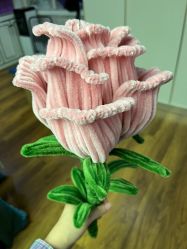 点击看大图 -梓爱月子中心(花都店)