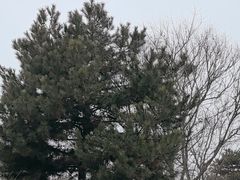 -秦始皇帝陵博物院-丽山园