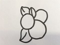 -八哥美术·成人美术画室(总校区)