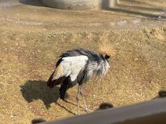 -武汉动物园